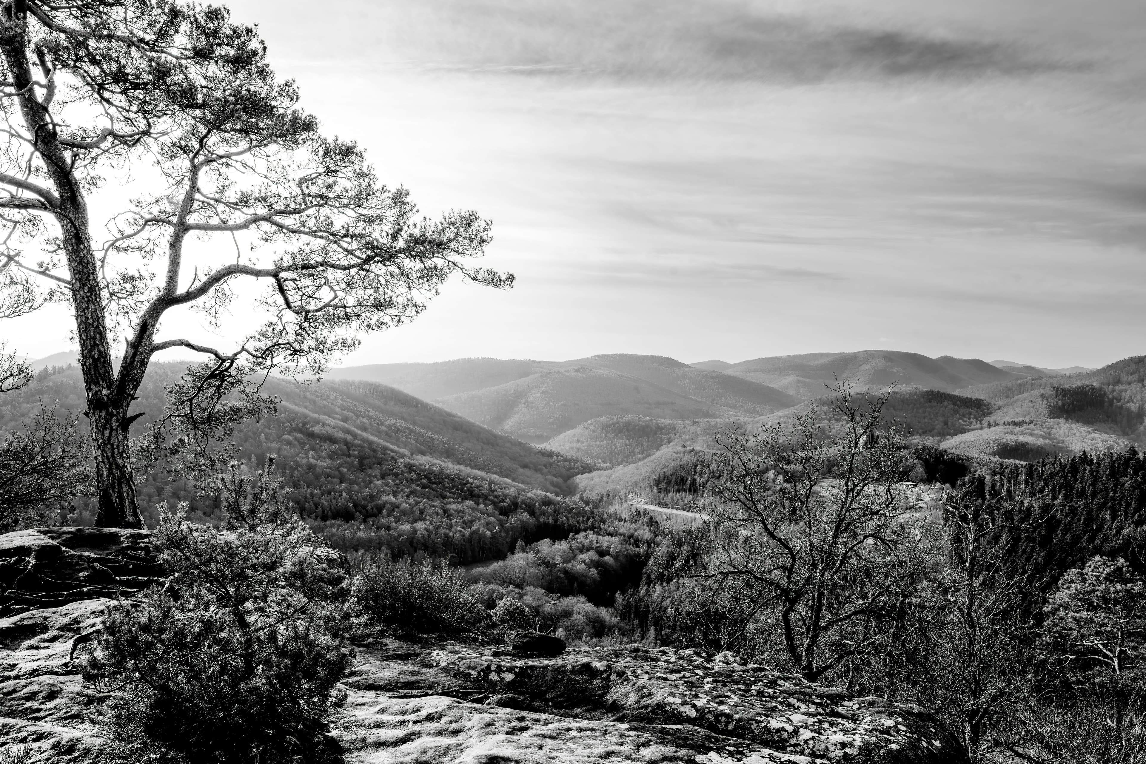 Nature Reserve
